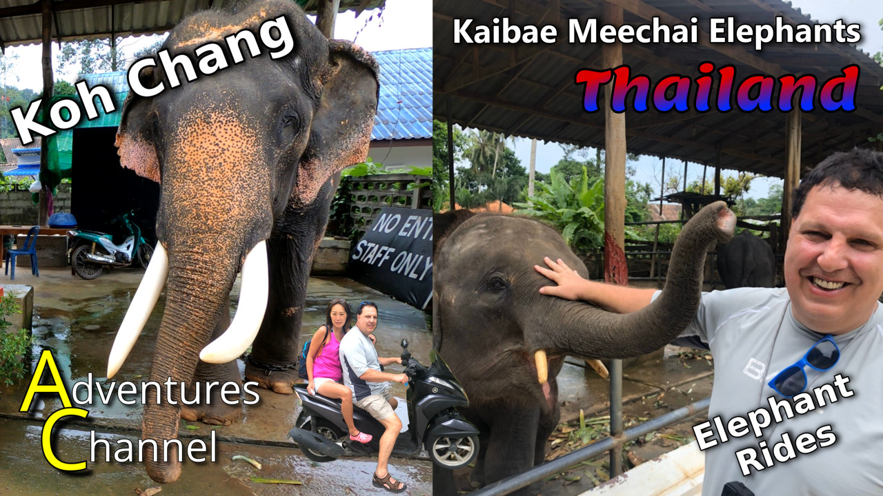 Kaibae Meechai Elephant Rides and baby dumbo's